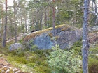 SSRV:n kilpailumaasto heinäkuussa 2021.