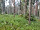 SSRV:n kilpailumaasto heinäkuussa 2021.