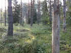SSRV:n kilpailumaasto heinäkuussa 2021.