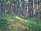 SSRV:n kilpailumaasto heinäkuussa 2021.