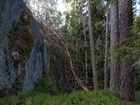 SSRV:n kilpailumaasto heinäkuussa 2021.