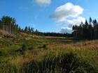 SSRV:n kilpailumaasto heinäkuussa 2021.
