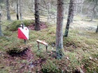 Kuva maastosta, Salo Cup 2020 Yö